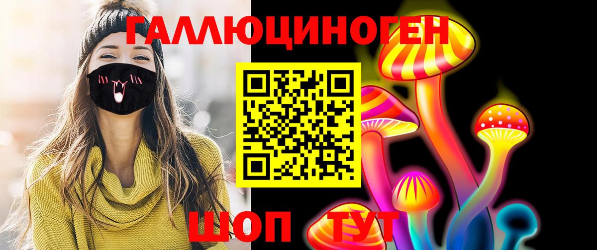 Галлюциногенные грибы Cubensis Пугачёв