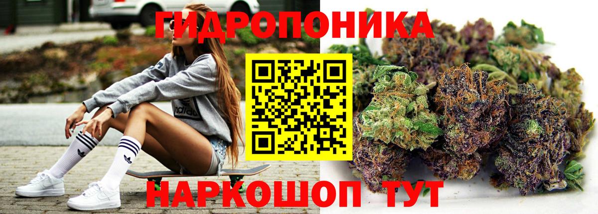 Пугачёв  Марихуана планчик  Бошки марихуана AK-47  Марихуана Ganja  Бошки марихуана Ganja  Вход с VPN 